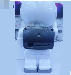 Robot Security Camera